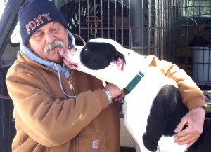 vets-cookie1-1024x744